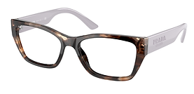 0PR_11YV__07R1O1 caramel tortoise.png