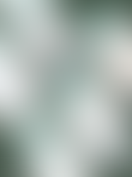 Gard lanserer Mariners Medico Guide: ny helse-app utviklet for sjøfolk