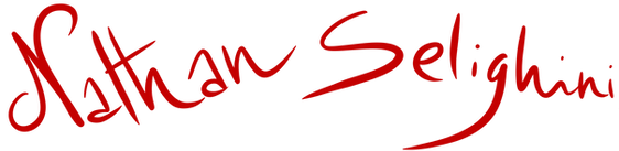 Logo-Nathan-Selighini