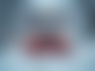 The Importance of Reliable Snow Plow Services