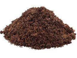 ree