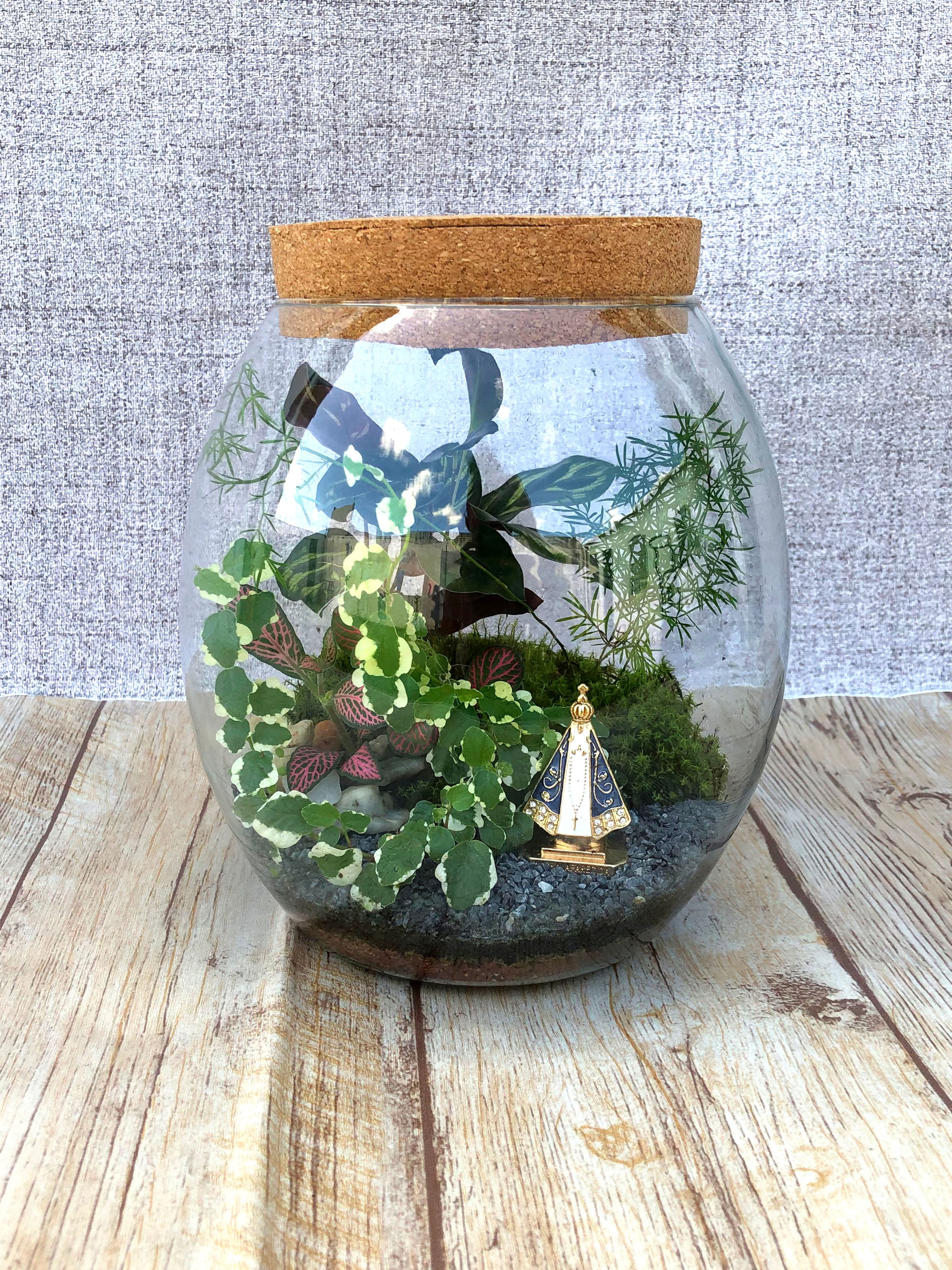 Terrário Nossa Senhora Aparecida