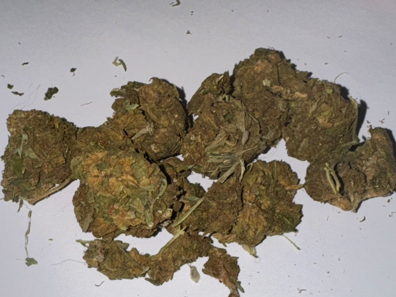 Blueberry haze