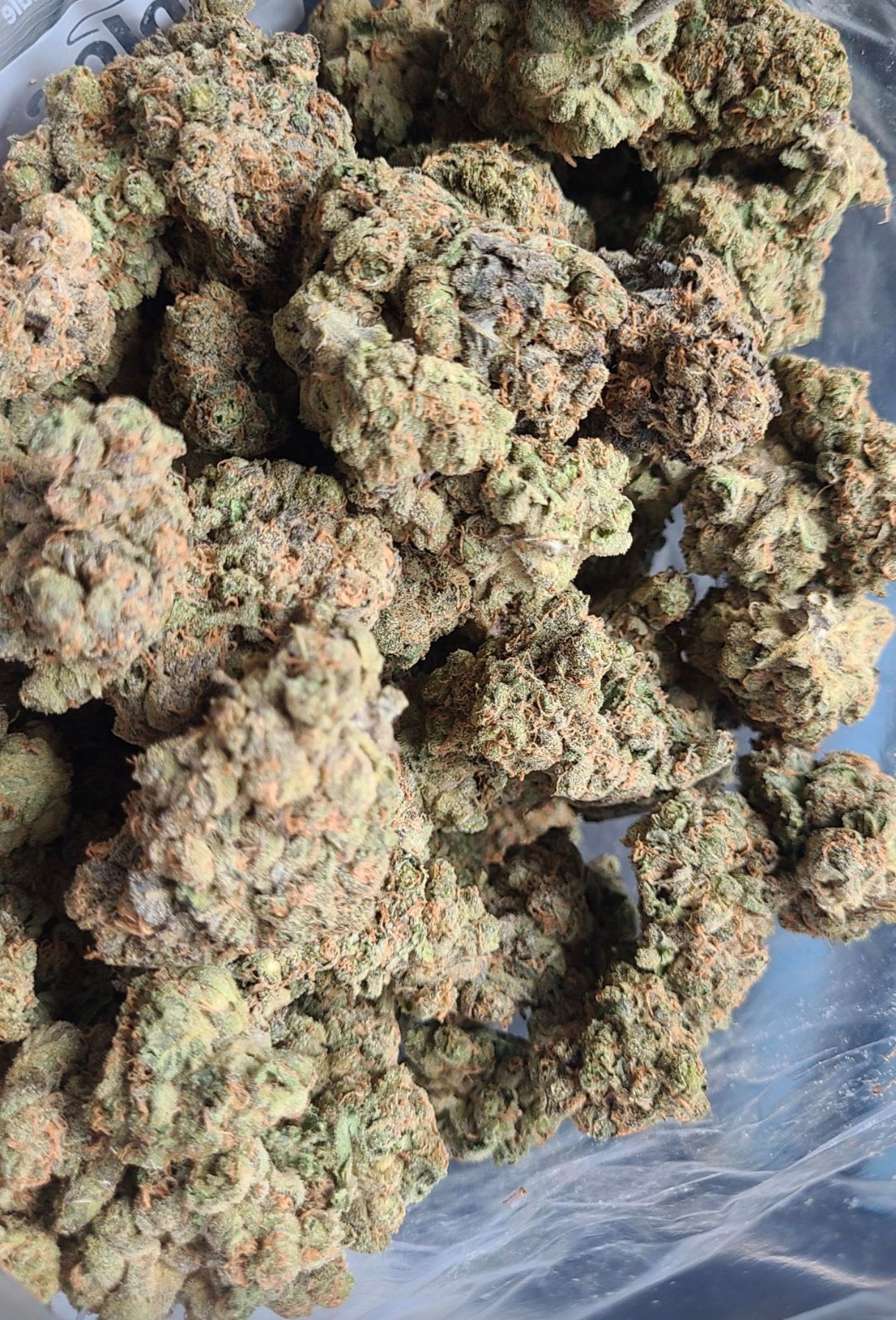 Mule fuel