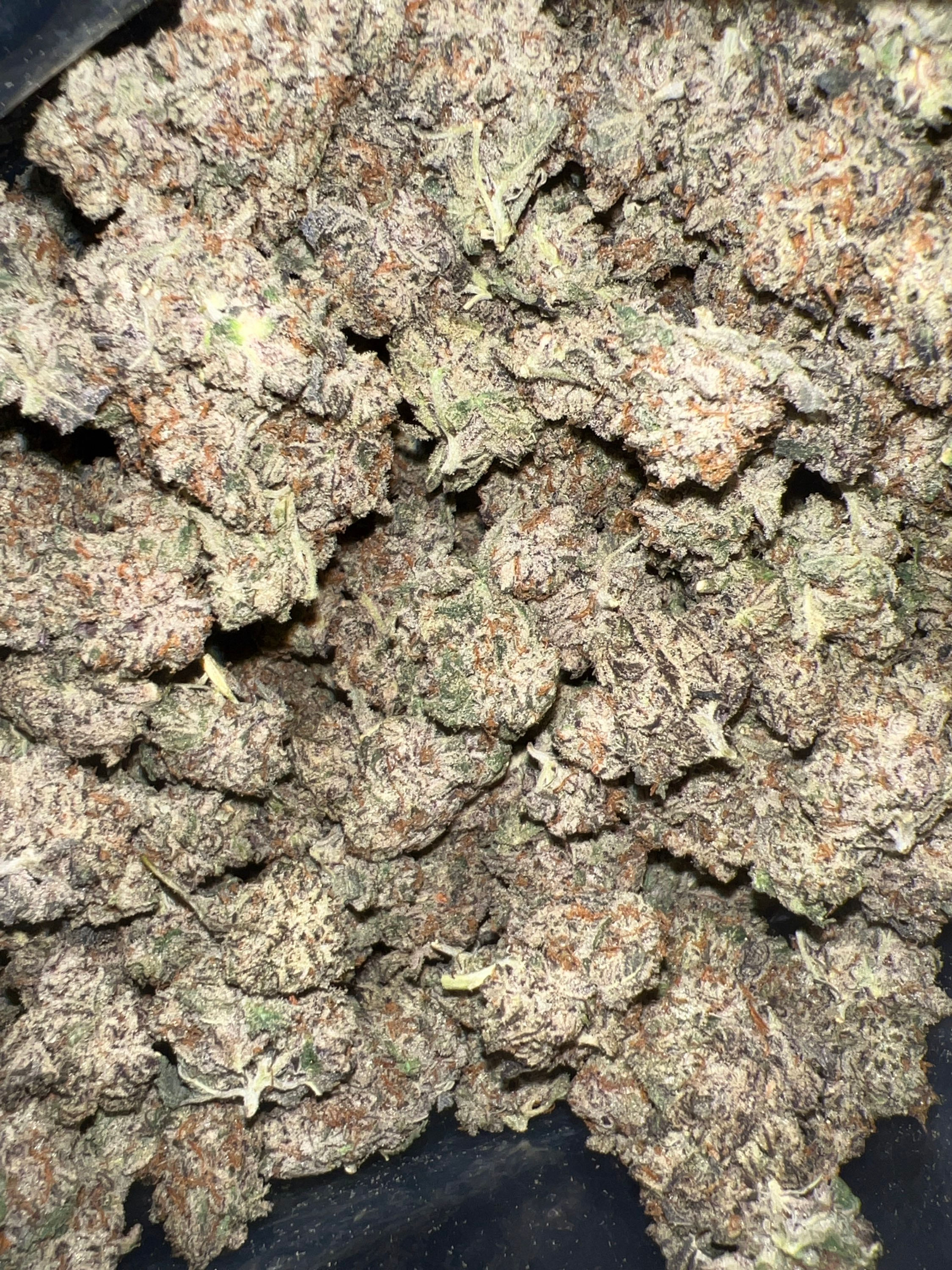 Granddaddy Purple