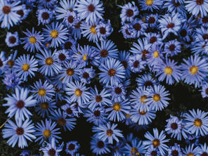 Supporting Women and Girls Through Action