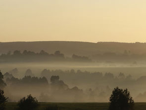 What Is Shaping the Funding Landscape in 2026?