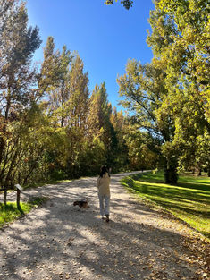 Hojas de otoño como imagen de portada del artículo sobre cansancio y bienestar otoñal.