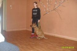 Аза н�а святі 8 березня