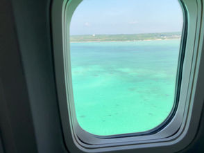 ゴールデンハーモニクス！