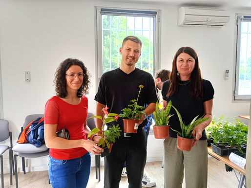 Une vente de plantes au SESSAD Emile Zola !