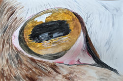 PXL_20210902_112952021