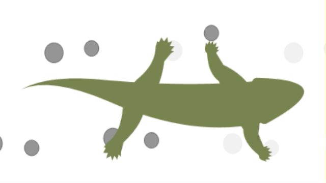 Walk_cycle_of_a_tetrapod.gif