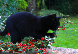 IMG_1219 2
