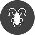 cockroaches.png