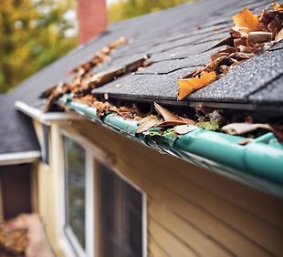 house gutters with debris.jpg