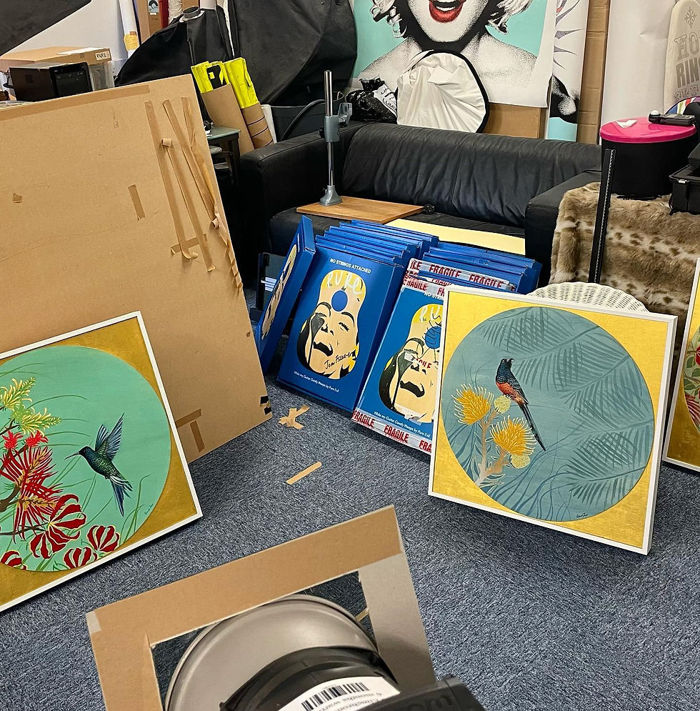 Thumbnail: The Birds of Pipa 2