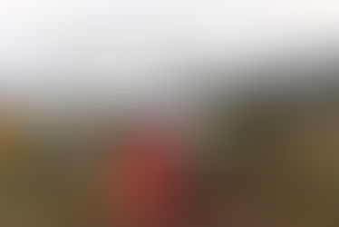 THE TRUTH ABOUT MAGAZINE/WEB PRODUCT REVIEWS.