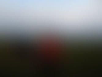 CANOES AND WILLIWAWS!