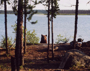 DUMB AND DANGEROUS THINGS...PART 2