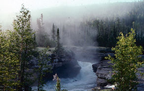 THIS MESSAGE WILL MAKE YOU SMILE