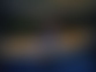 DIVERSITY CAN SAVE THE DAY!