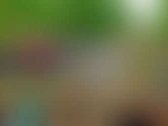 TOUGHEST LOOP IN THE BWCA