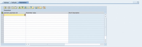 SAP_OWNDT_PARAM.PNG