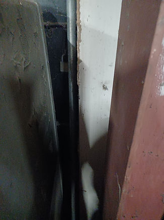 Fumigacion Puerto Rico