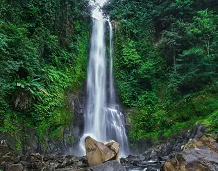 artikel_air-terjun-gitgit-ketenangan-dan-keindahan-alam-bali-utara_20241203_095509 (1).web