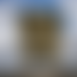 The Lake X Observation Tower: Mercury History Under Restoration!