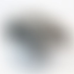 Basic Guide to Rebuild Mercury WH WMH WMV Carbs