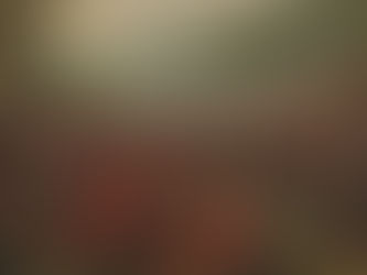 Uncovering the Mysteries of Gulf of Lambson's Past