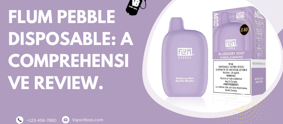 Flum Pebble Disposable: A Comprehensive Review.