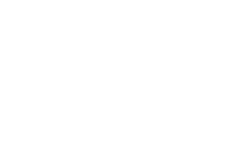 Ellis Sales Logo west michigan
