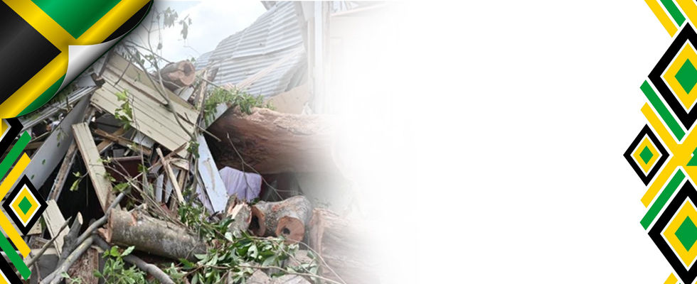 DONATION FOR JAMAICA STRIP.jpg