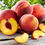 Thumbnail: 11. Create Your Own Smoothie