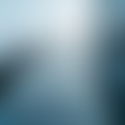 Navigating Canada’s Immigration Pathways