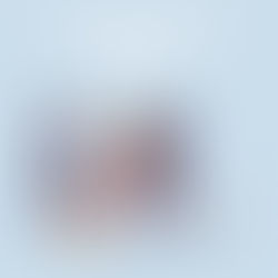 Manitoba extends invitations to skilled workers in first draw of November