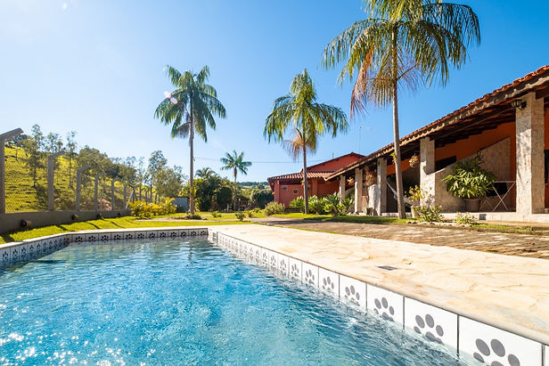 Piscina Pet 1 - Chalés Santa Catarina -