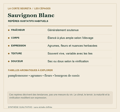 Fiche technique : Sauvignon Blanc : Une fraîcheur expressive et une parenté rouge