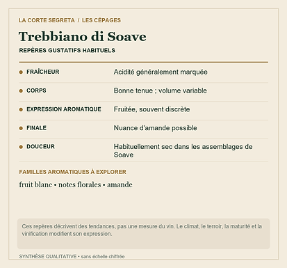 Fiche technique : Trebbiano di Soave : Un même cépage, des noms régionaux différents