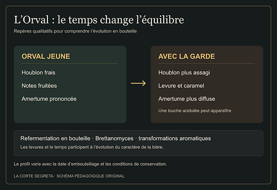 Schéma qualitatif de l’évolution de l’Orval : houblon frais, fruité et amertume prononcée dans une bière jeune ; notes de levure, de caramel et amertume plus diffuse avec la garde.