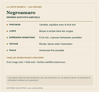 Fiche technique : Negroamaro : Le caractère des rouges et des rosés du Salento