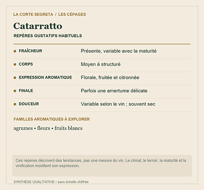 Fiche technique : Catarratto : Un grand patrimoine sicilien, plusieurs expressions