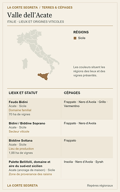 Plan des lieux viticoles et des cépages : Valle dell’Acate : une famille, sept terres et les visages de la Sicile