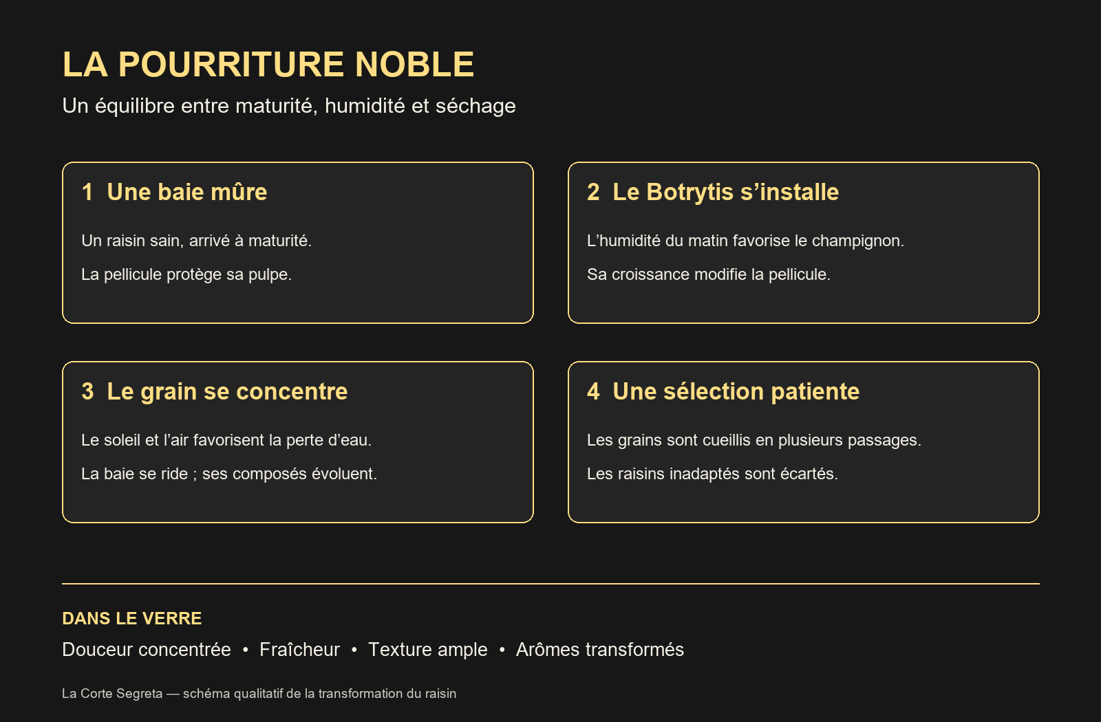 Document complémentaire : La pourriture noble : l’étrange alchimie du raisin