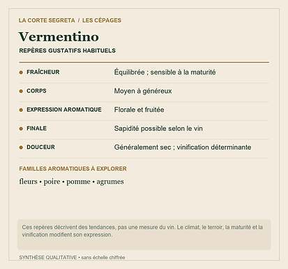 Fiche technique : Vermentino : Un cépage méditerranéen aux nombreux noms