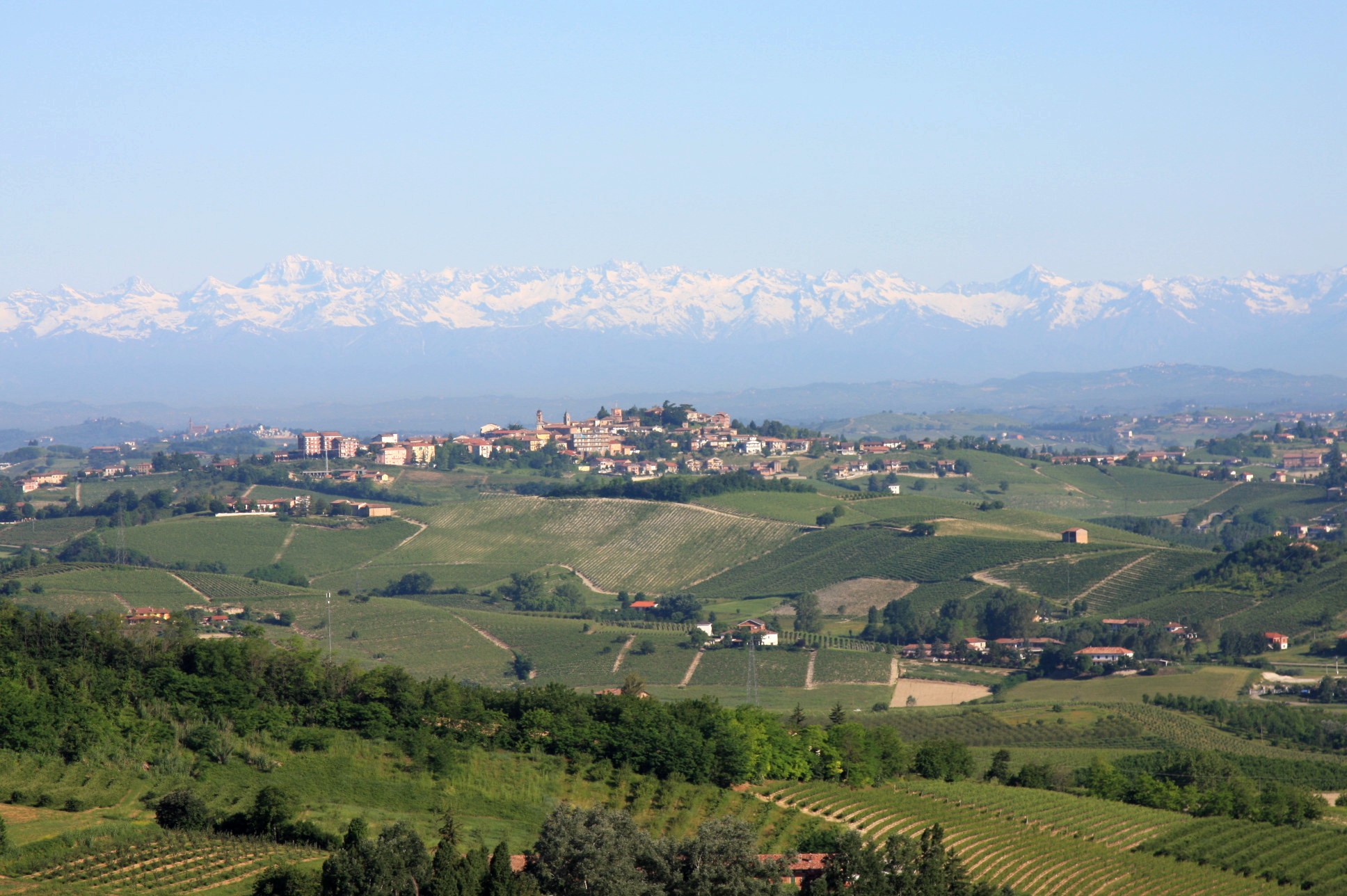 Agliano Terme vu depuis San Marzano Oliveto — photographie Piedmont Properties, Wikimedia Commons, CC BY-SA 4.0. Seconde image : régions, lieux viticoles et cépages de la maison.