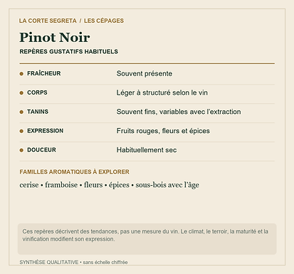 Fiche technique : Pinot Noir : Le fruit rouge, la finesse et la surprise des bulles blanches